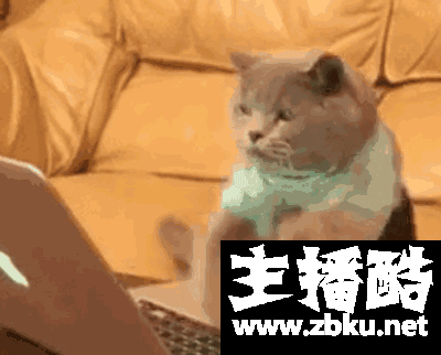KT官博抽奖活动竟是表面粉丝中奖 引发网友粉丝骂战