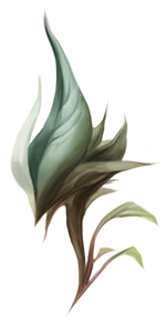 国外玩家推测LOL新英雄的身份：忘忧花园的花匠法师