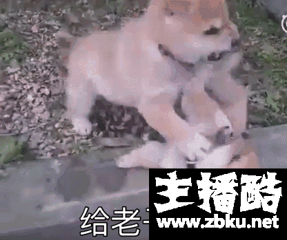 KT官博抽奖活动竟是表面粉丝中奖 引发网友粉丝骂战