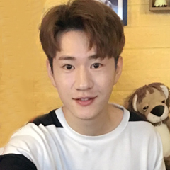 心龙