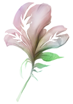 国外玩家推测LOL新英雄的身份：忘忧花园的花匠法师